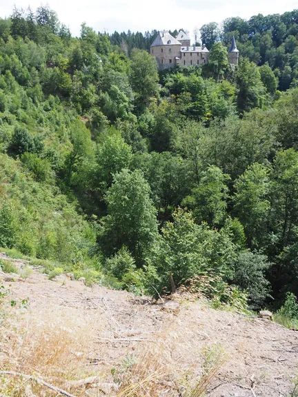 Chateau de Reinhardstein (België)